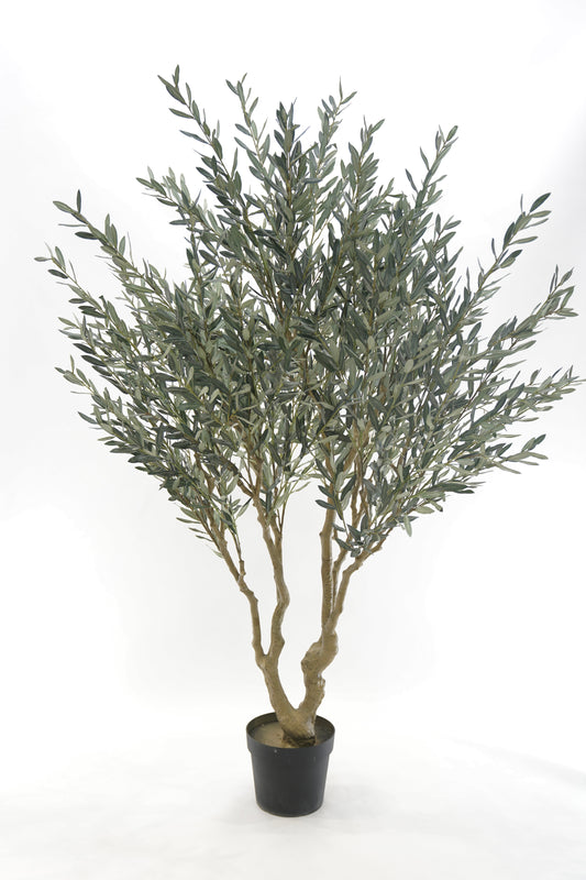Uměly olivovník 240 x 140 cm
