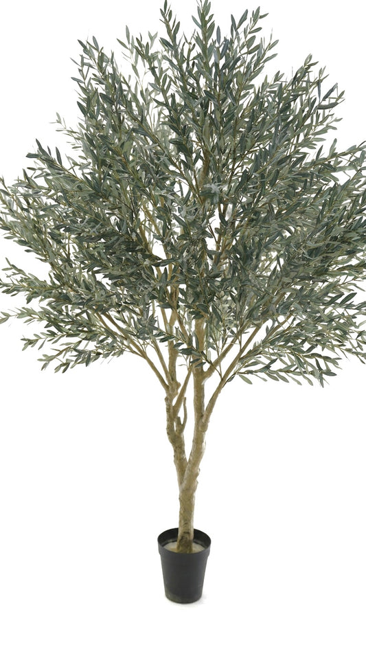 Umělý olivovník 250 x 180 cm